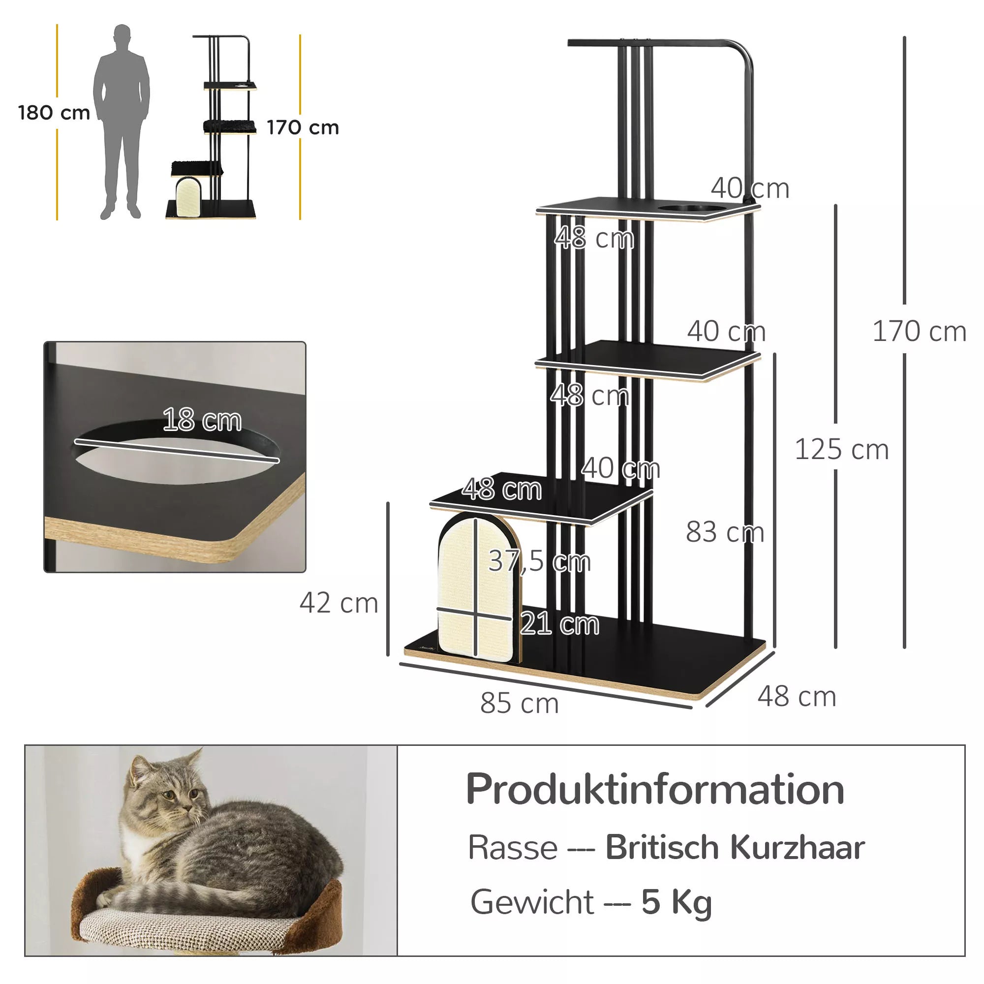 Kačių medžio schema su matmenimis 170, 125 ir 85 cm bei siluetais