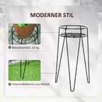 Modernaus stiliaus infografika: 10 kg ir metalinės kojos