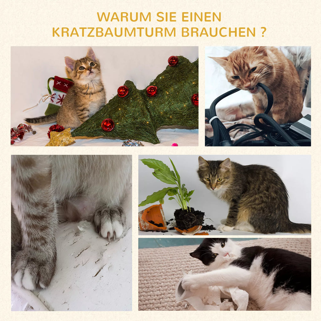 Schema su katėmis, naudojančiomis katės bokštą