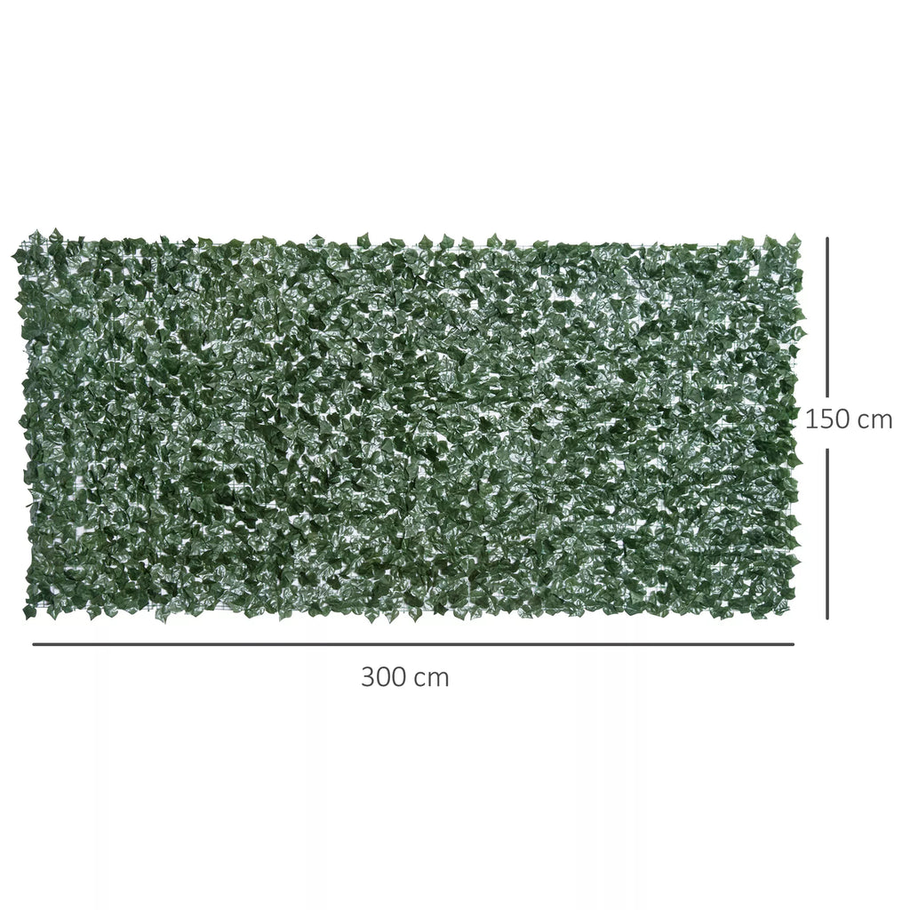 Schema su gyvatvorės matmenimis: 300 × 150 cm