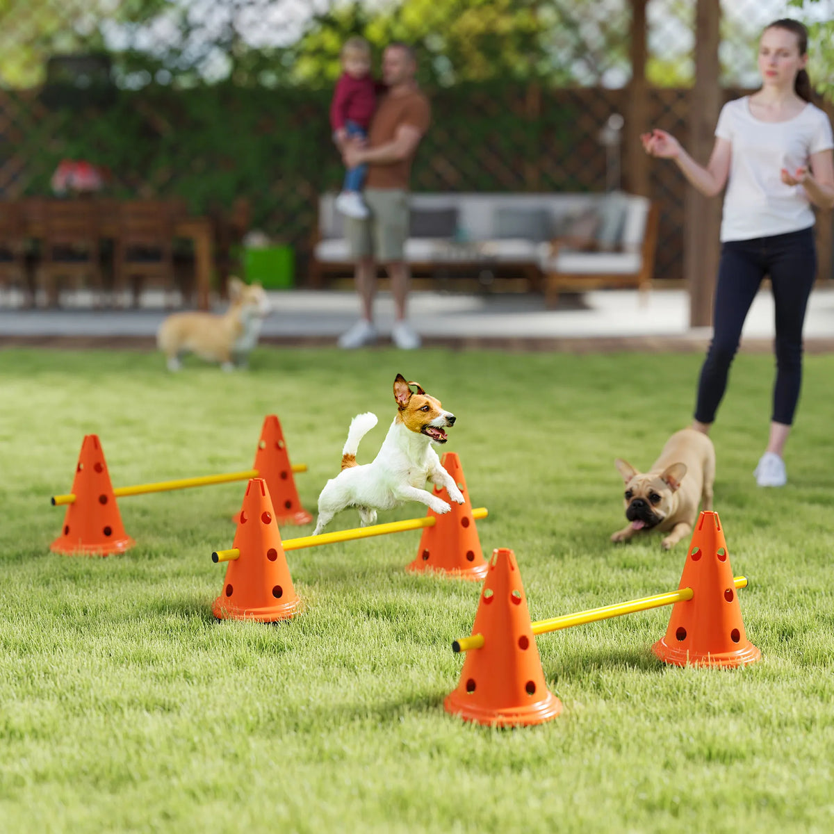Agility kliūčių rinkinys šunims reguliuojamo aukščio oranžinis