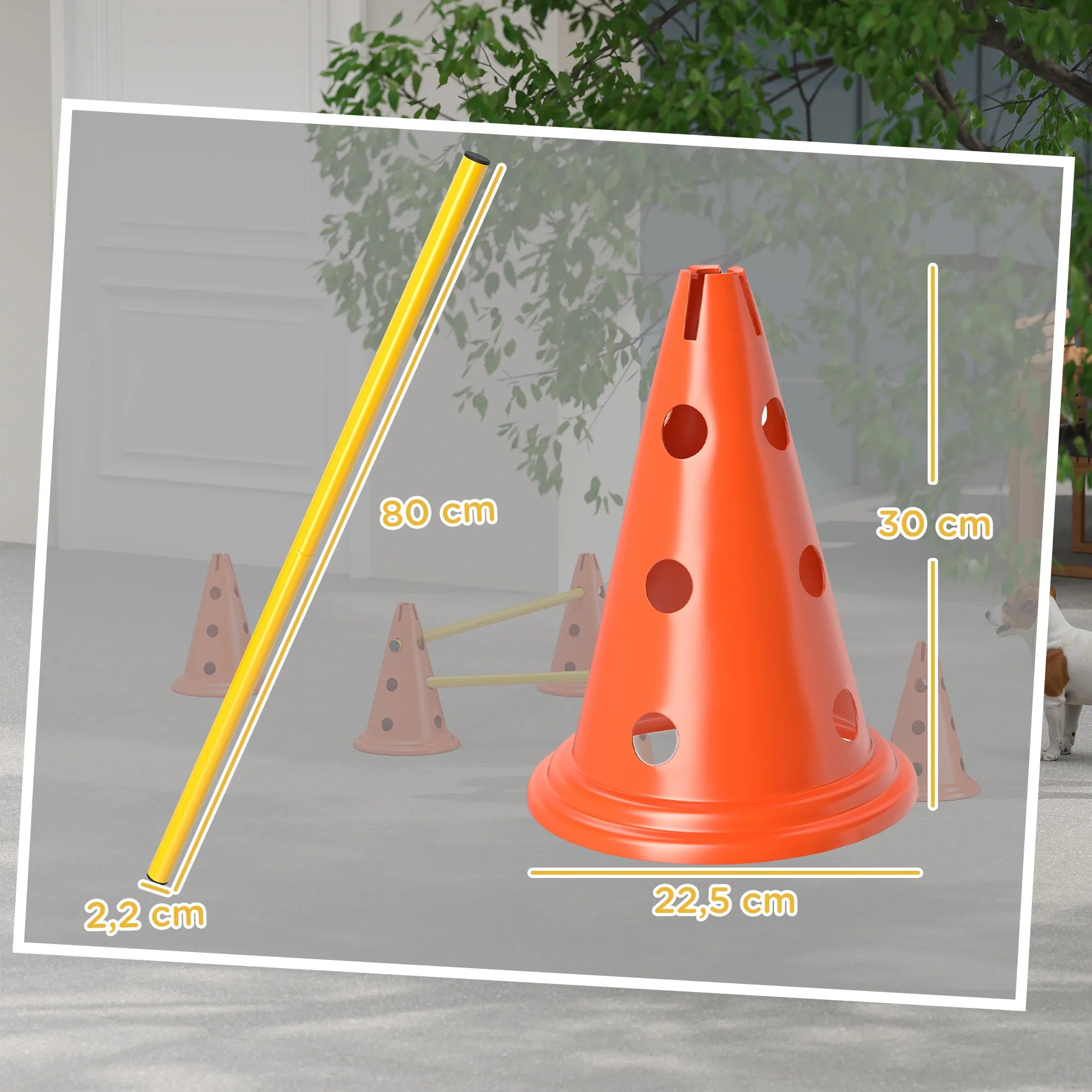 Agility kliūčių rinkinys šunims reguliuojamo aukščio oranžinis
