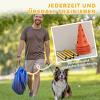 Agility kliūčių rinkinys šunims reguliuojamo aukščio oranžinis