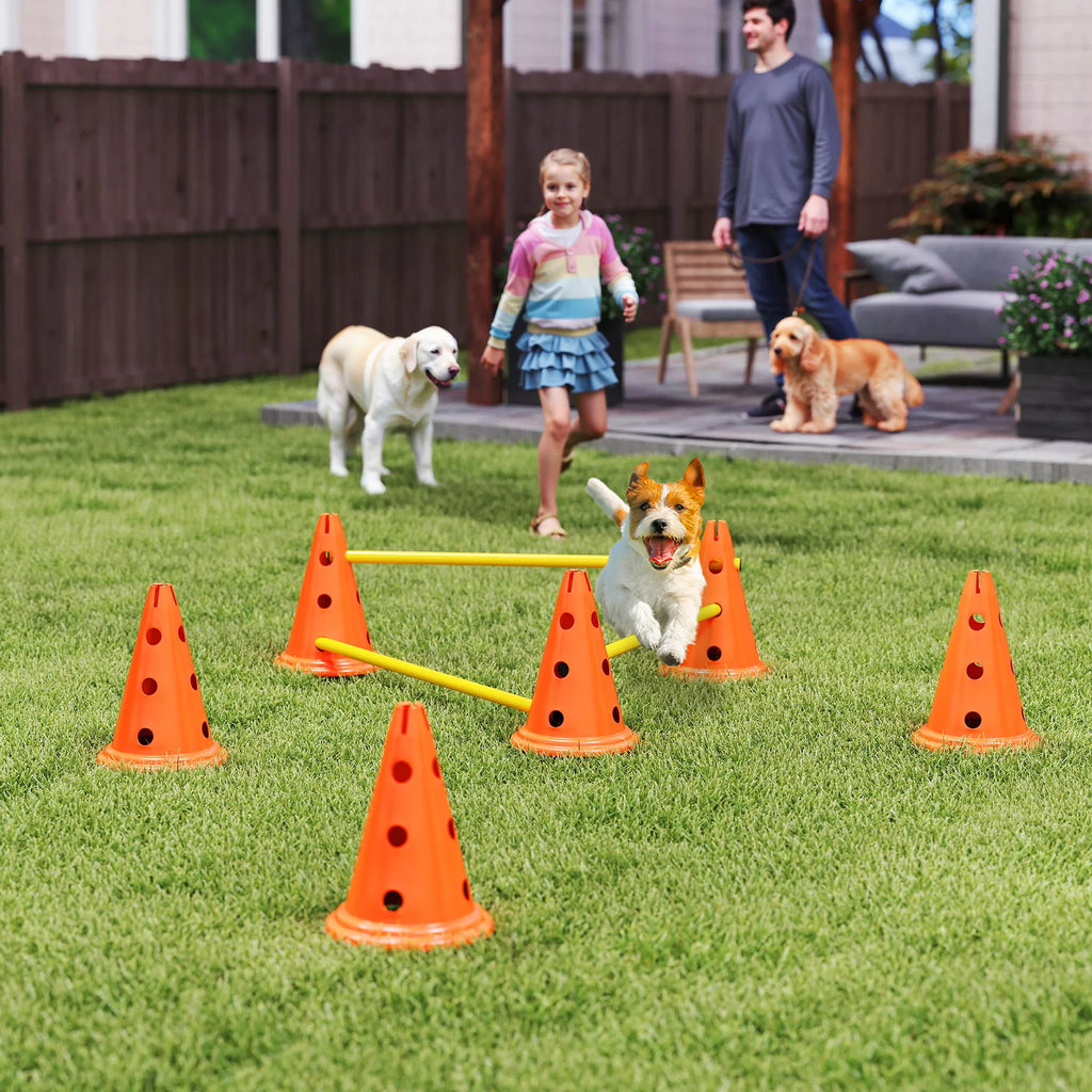 Agility kliūčių rinkinys šunims reguliuojamo aukščio oranžinis