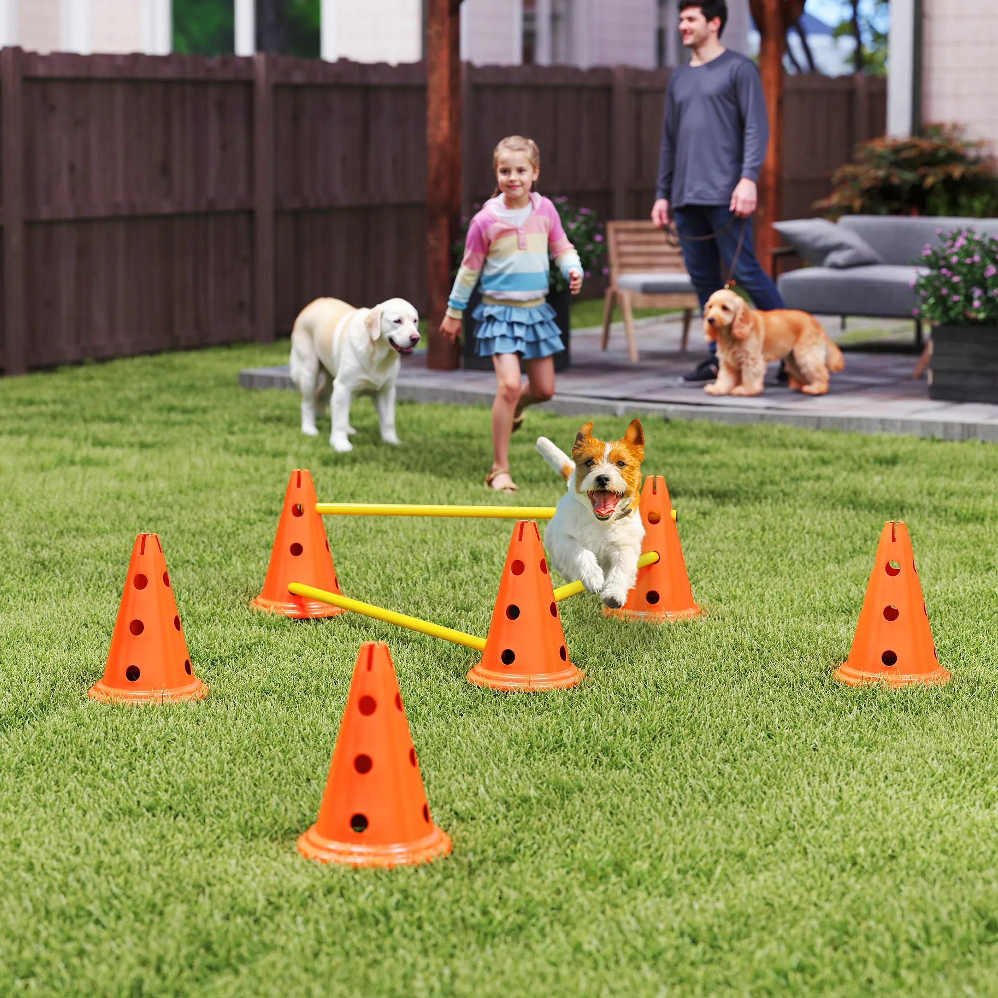 Agility kliūčių rinkinys šunims reguliuojamo aukščio oranžinis