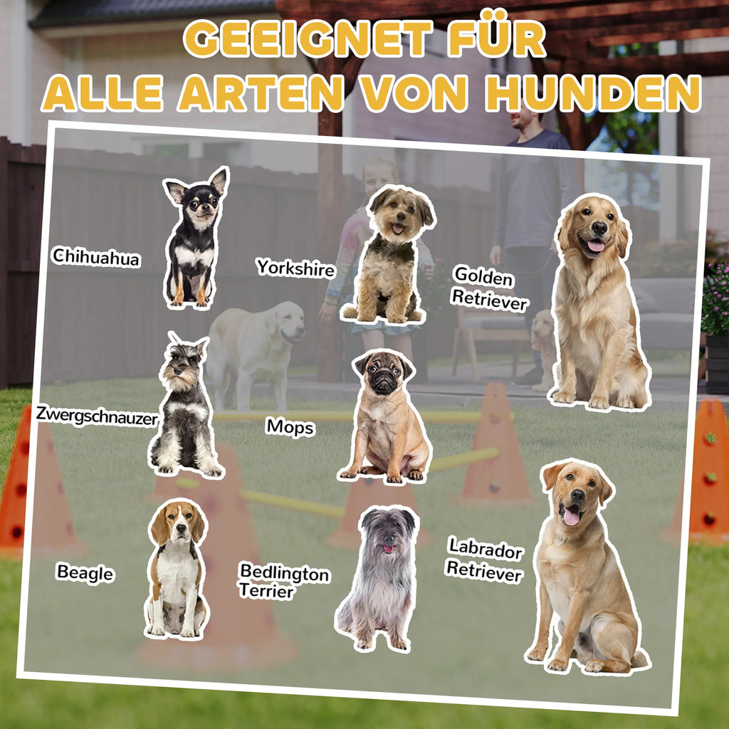 Agility kliūčių rinkinys šunims reguliuojamo aukščio oranžinis
