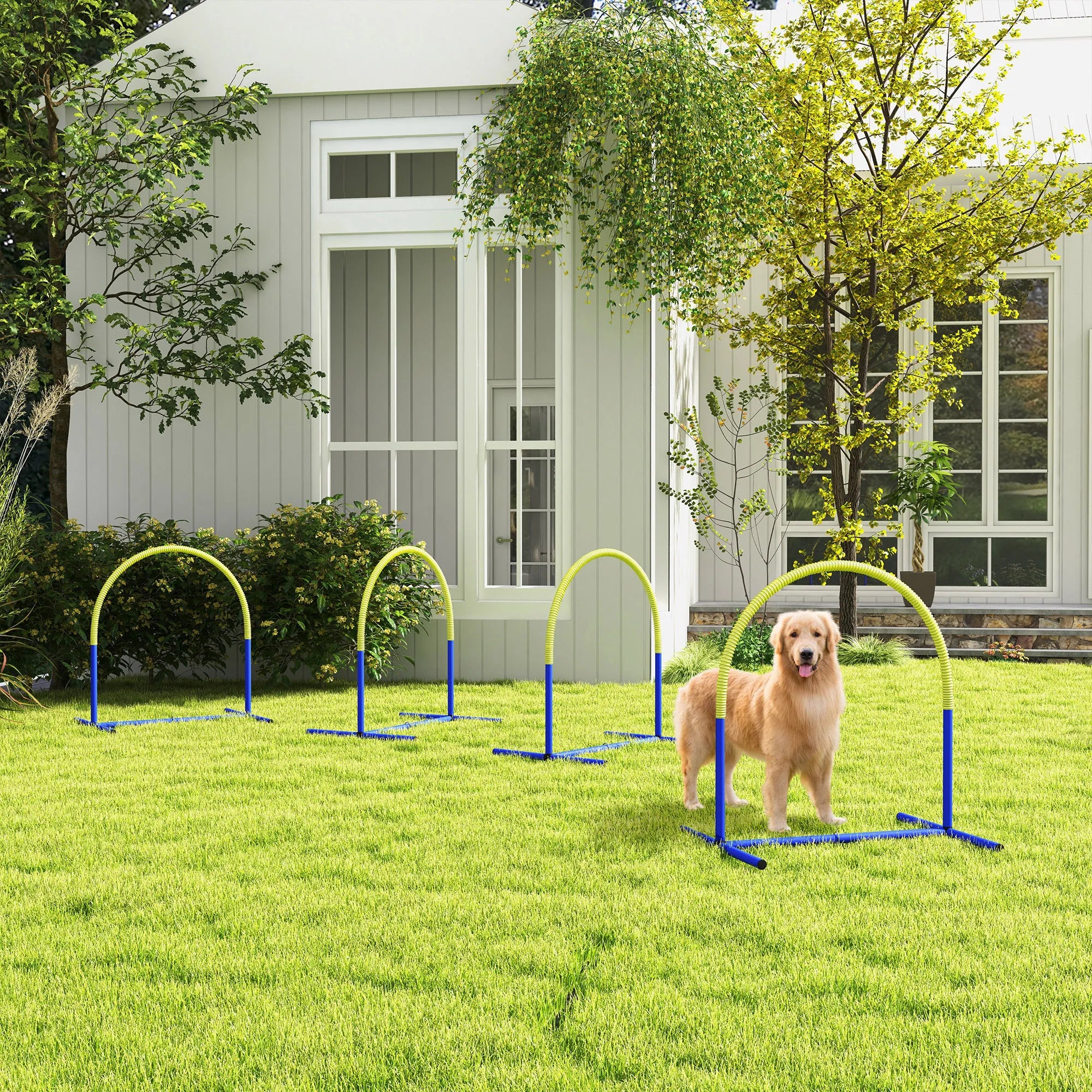 Agility rinkinys šunims, 4 arkos, pradedantiesiems, mėlynas/geltonas