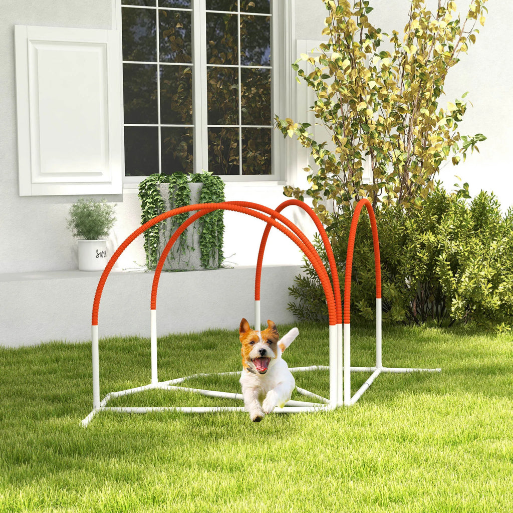 Agility rinkinys šunims, 4 dalių, su krepšiu, 89x69x99 cm, baltas–oranžinis