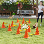 Agility rinkinys šunims su 6 kliūtimis, reguliuojamo aukščio, oranžinis
