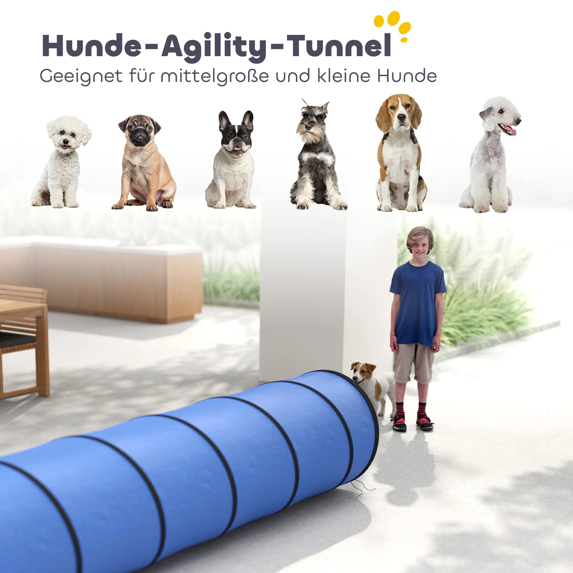 Agility tunelis šunims 300x50 cm su tvirtinimo elementais mėlynas