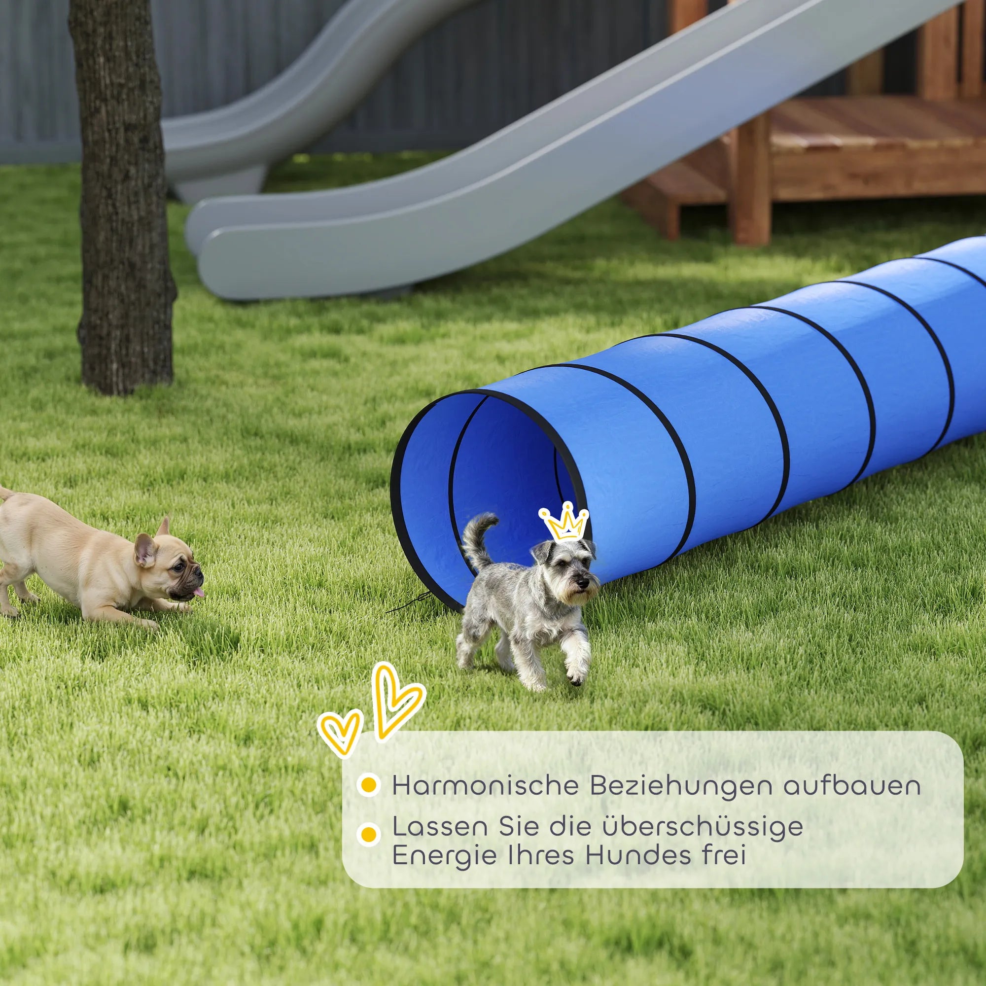 Agility tunelis šunims 300x50 cm su tvirtinimo elementais mėlynas