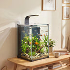Akvariumo komplektas 36 l, su LED apšvietimu, filtru ir siurbliu, juodas, 30 x 30 x 45,5 cm