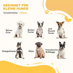 Šuo sustabdytas prie baltos tvorelės