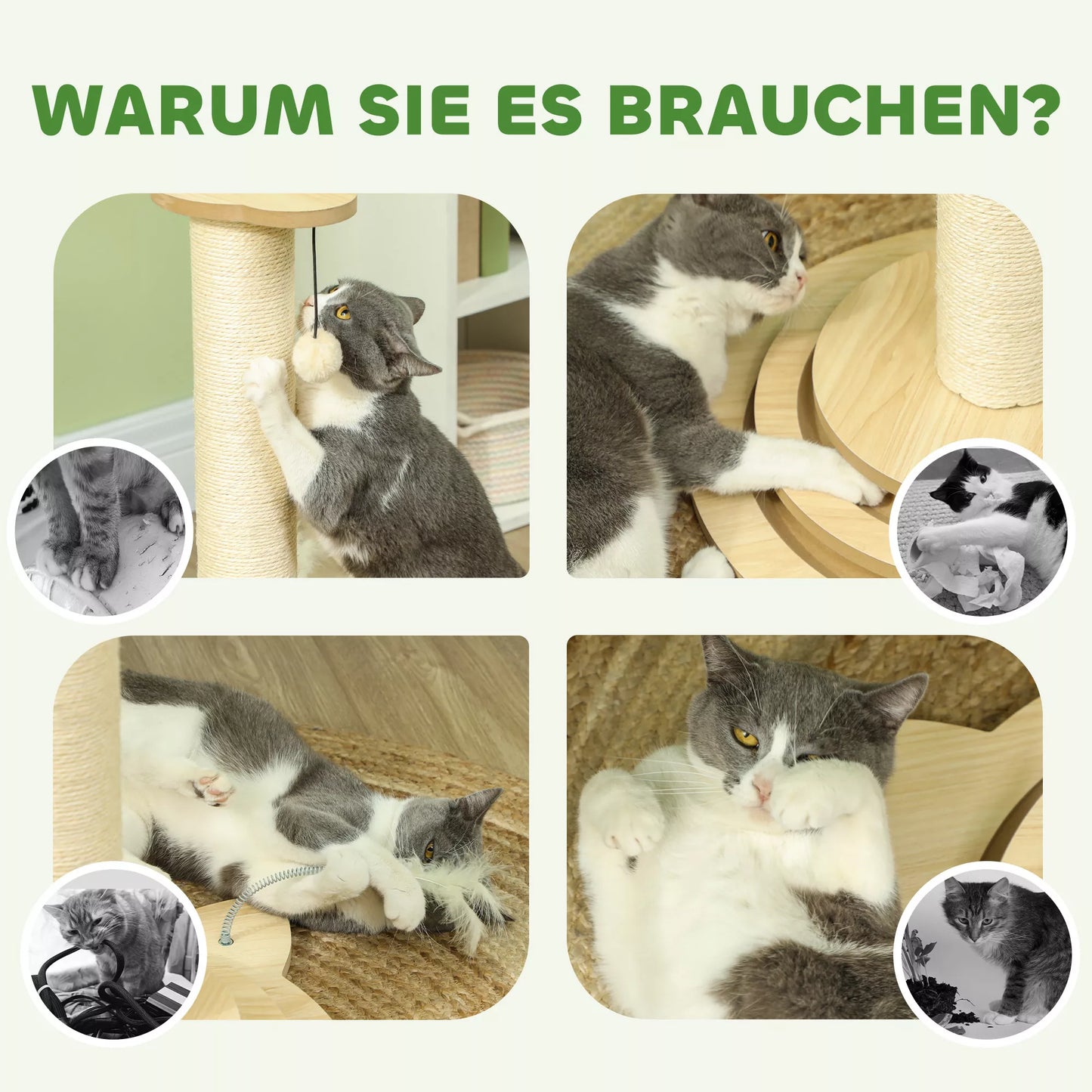 Katės draskyklė, 69 cm, su sizalio draskymo stulpeliu, kamuoliukų takeliu, žaidimo kamuoliuku, žaidimo plunksnele, 4 viename dizainas, kreminės baltos spalvos