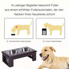 Vokiška grafika lygina įprastas dubenėles ant grindų su pakelta šėrykla, tausojančia šuns kaklą.
