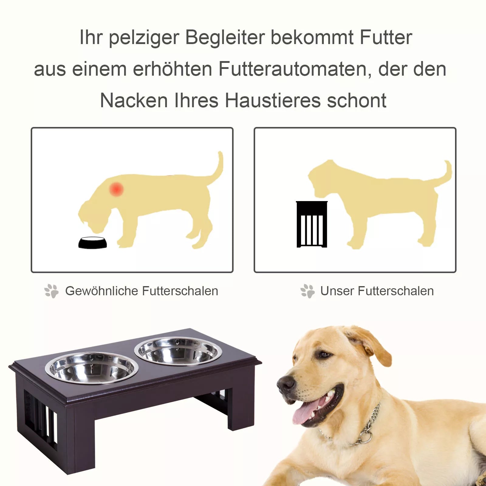 Padidintas šunų dubuo 2 dubenėliai Vandens dubuo 2 x 900 ml nerūdijančio plieno dubenėliai Ėdalas Ėdalas Maisto stotis Šunų dubenėliai mažiems šunims Katėms Espresso