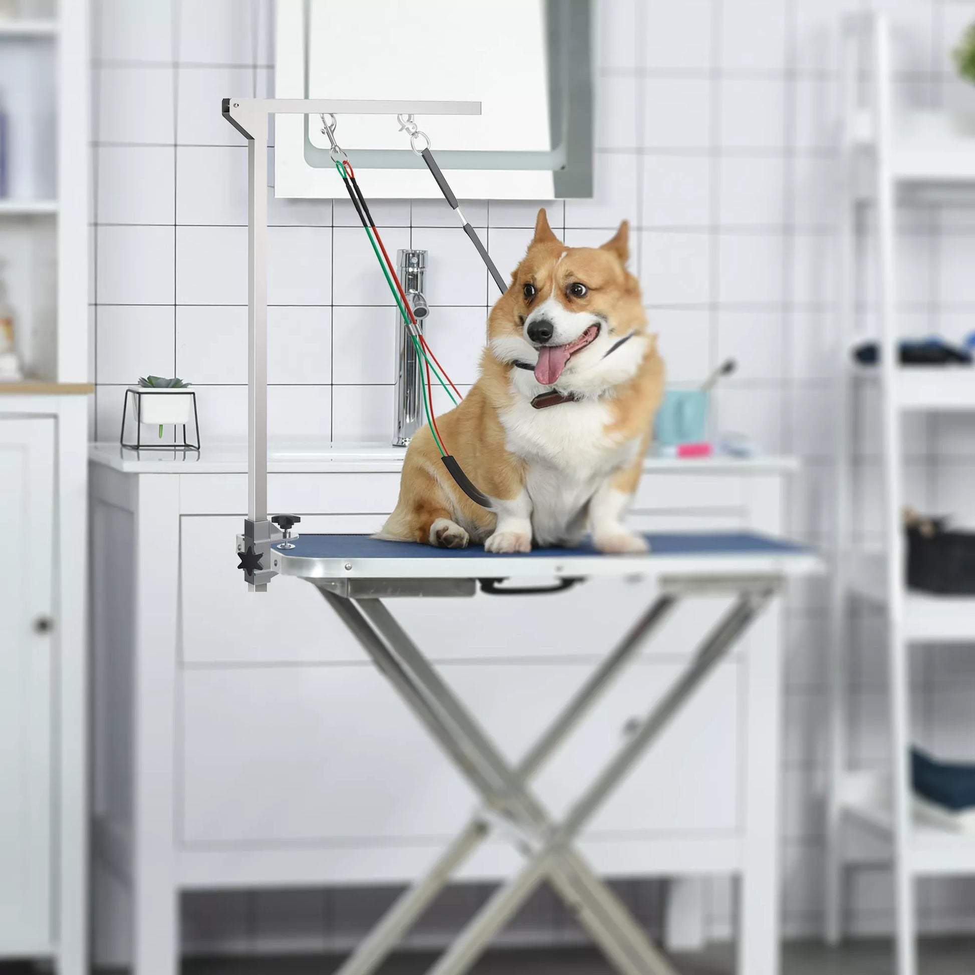 Naminių gyvūnėlių priežiūros rankena, reguliuojamo aukščio, 36 x 8 x 74 cm, Sidabrinė