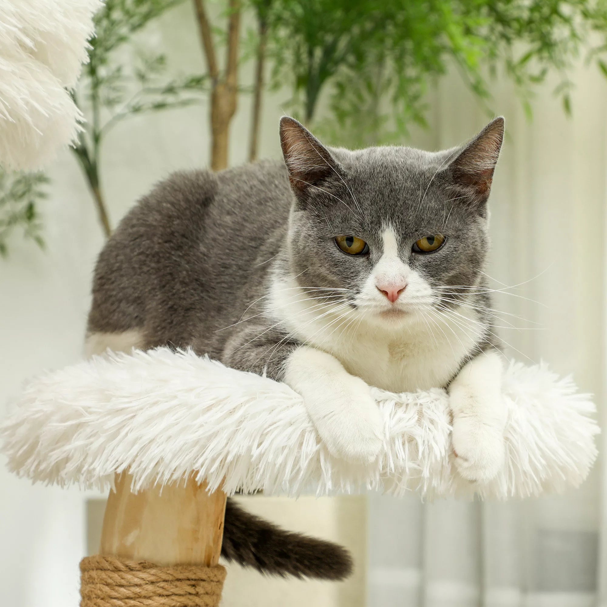 Kačių medis Pet Palace, 61,5 cm, baltas