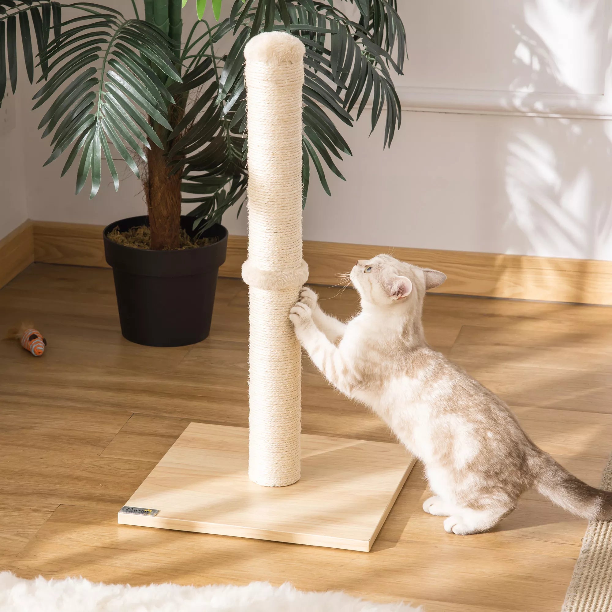 Katės draskyklė stulpas su žaislu, 60 cm, smėlio/ąžuolo spalvos