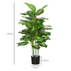 Augalo matmenų schema: 120 cm aukštis, vazono skersmuo 17 cm, aukštis 14,5 cm
