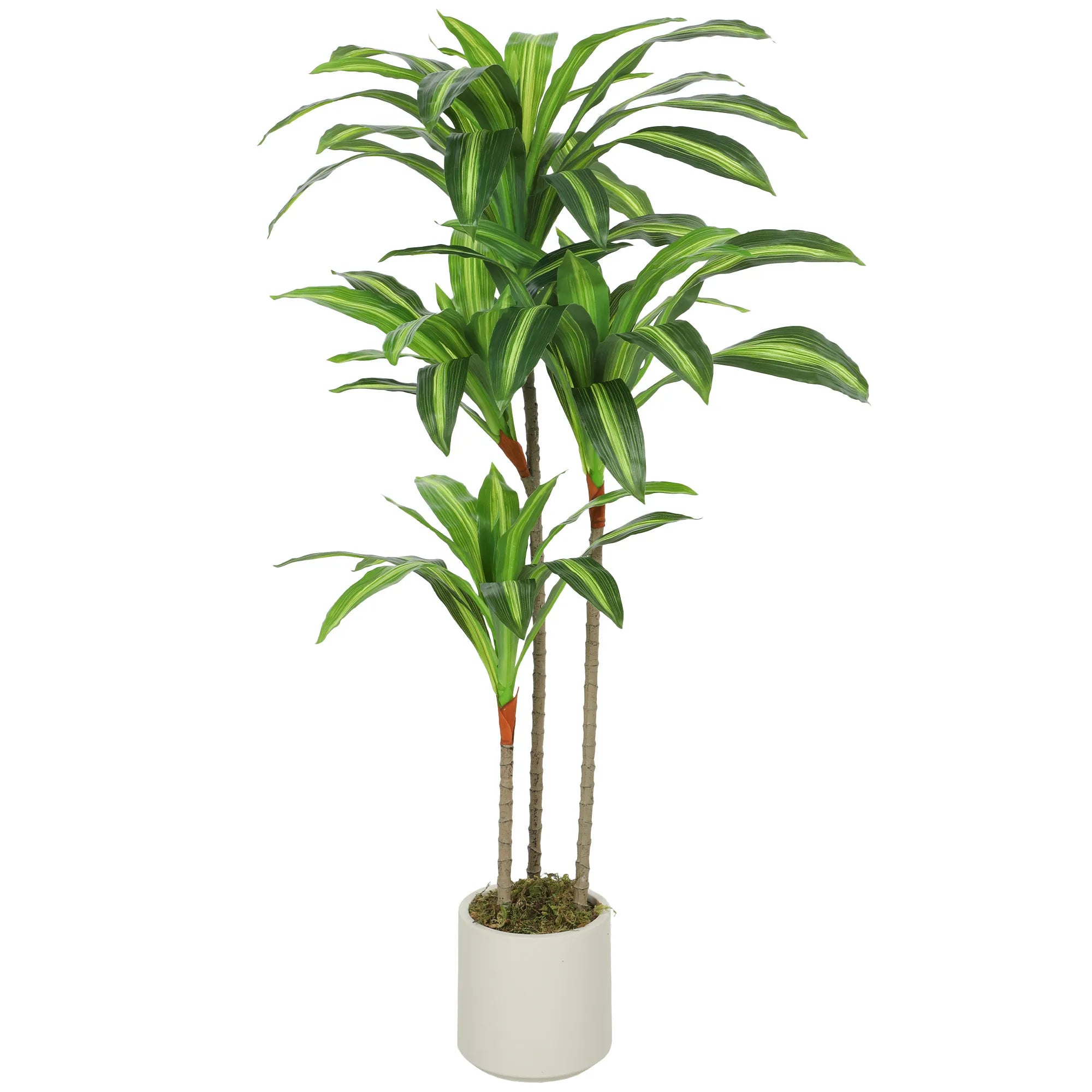 Dirbtinė dracena 120 cm su lanksčiais kamienais ir vazonu, žalia