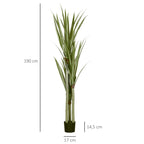 Augalo matmenų schema: 190 cm aukštis, vazono skersmuo 17 cm
