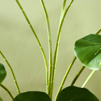 Dirbtinė Monstera Deliciosa, 180 cm, žalia