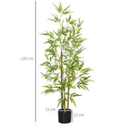 Matmenų schema: augalo aukštis 120 cm, vazono skersmuo 15 cm, aukštis 12 cm