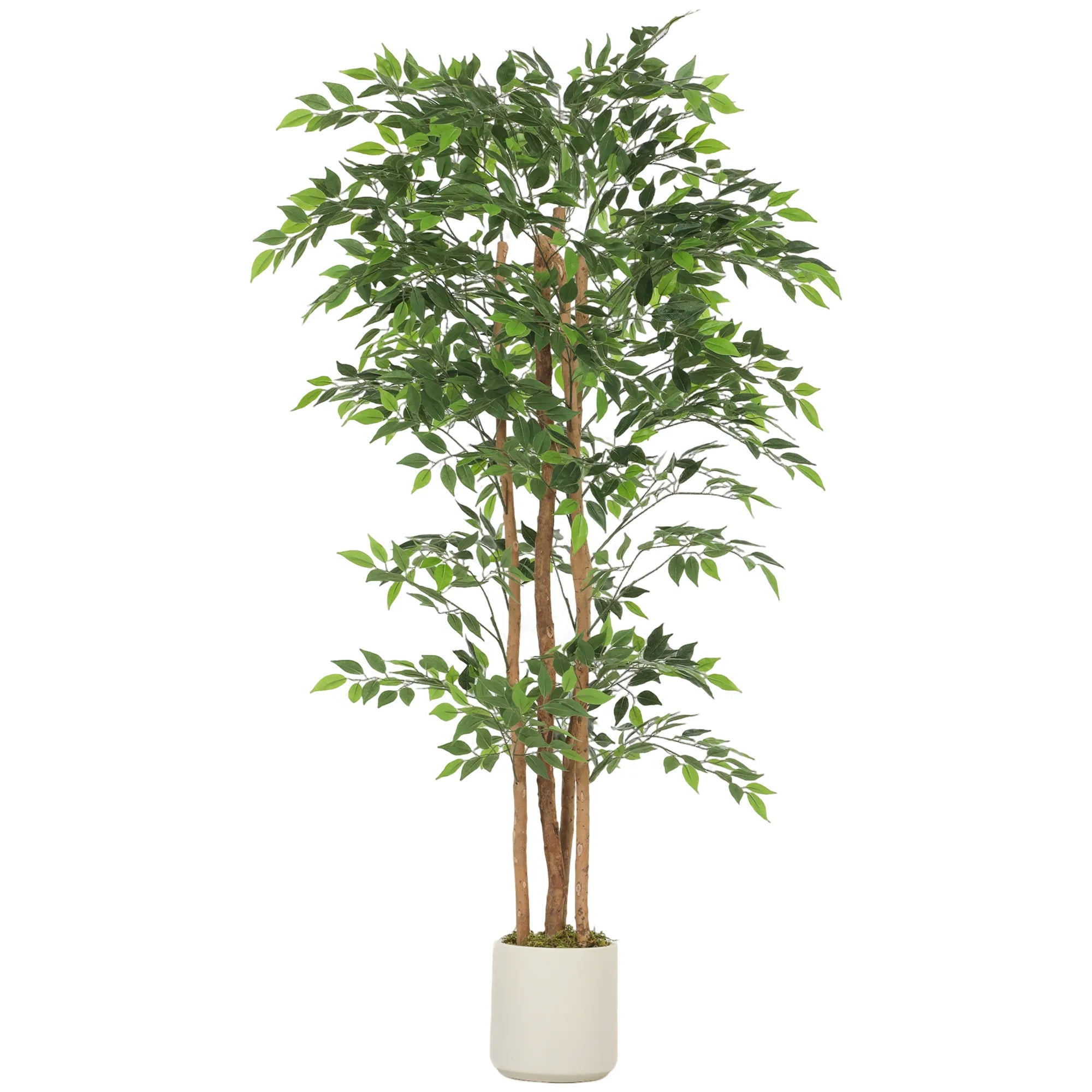 Dirbtinis banijanas su mediniu kamienu, 180 cm, žalias