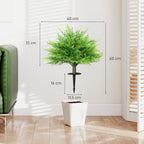 Paparčio matmenų schema: aukštis 60 cm, plotis 40 cm, kaištis 16 cm