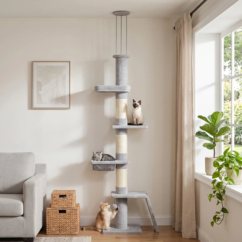 Draskyklė katėms, 5 aukštų, reguliuojamo 230–260 cm aukščio, su 3 sisalio stulpais