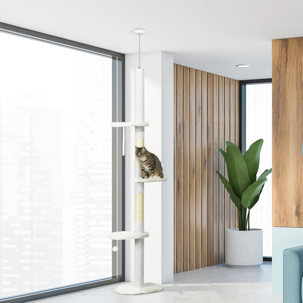 Draskyklė katėms nuo grindų iki lubų, reguliuojamas 2,25–2,55 m aukštis, baltos spalvos