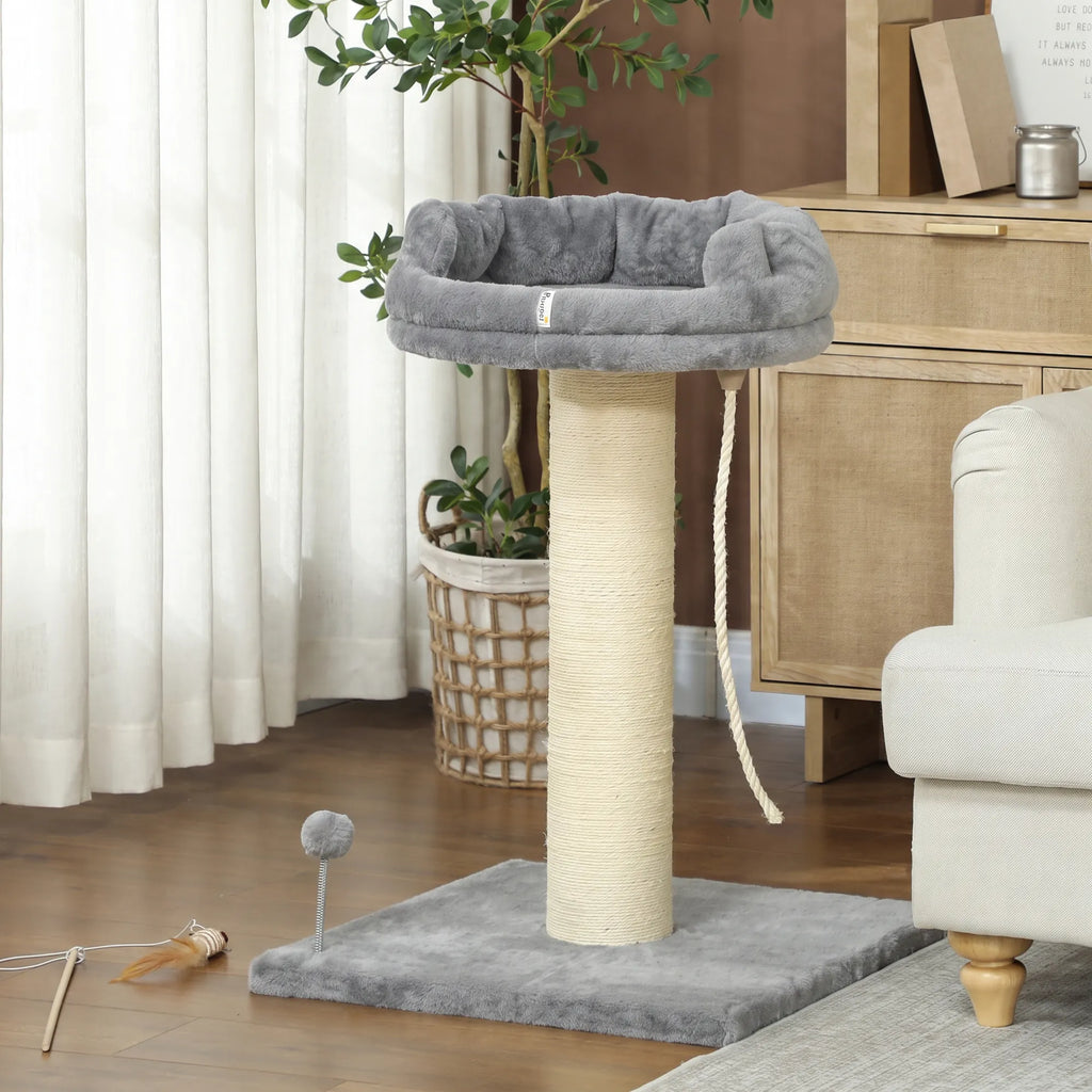 Draskyklė su guoliu prie medinės spintelės ir vazoninio augalo