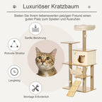 Infografika su katės nuotrauka ir piktogramomis, pristatanti draskyklės savybes