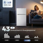 Dviduris mini šaldytuvas su šaldiklio skyriumi, reguliuojamu termostatu, 90 l, baltas