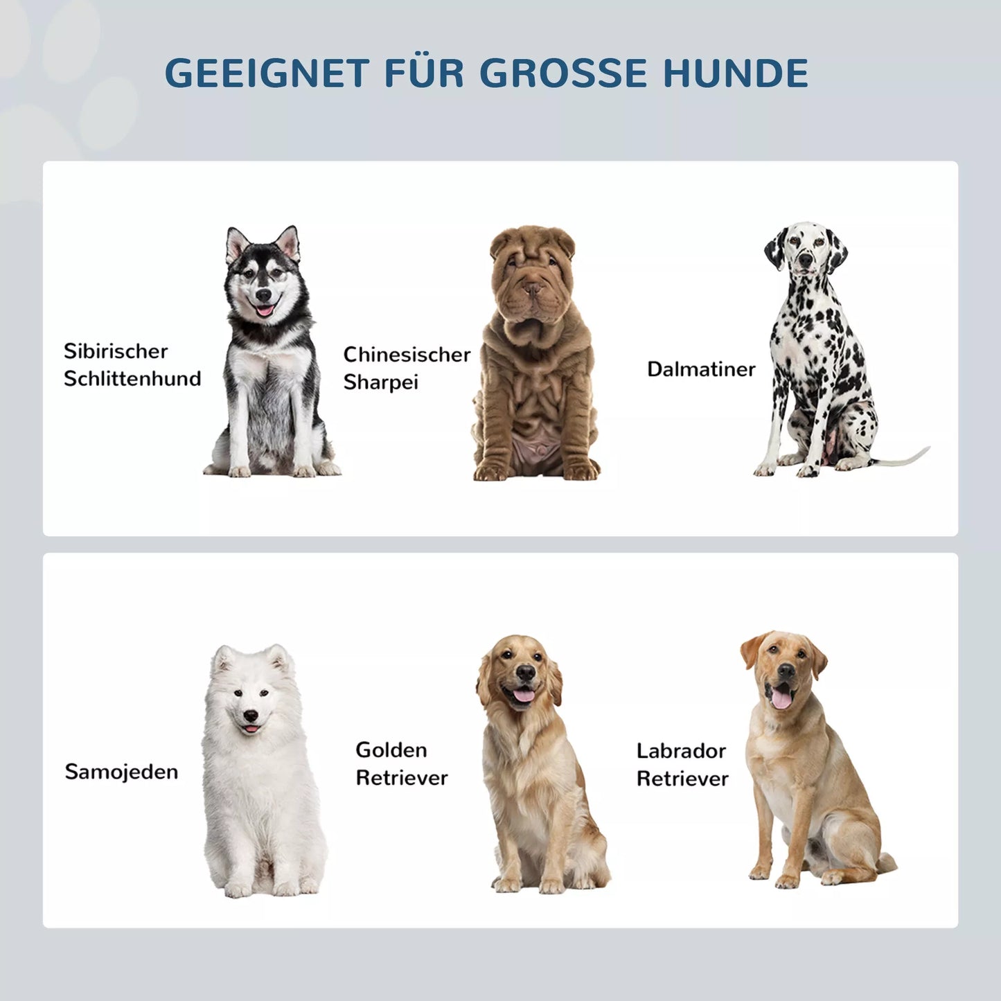 Šunų ėdalo stotelė, 2 nerūdijančio plieno dubenėliai, 44L talpos spintelės skyrius, magnetinės durelės, balta, 60x30x35,5 cm