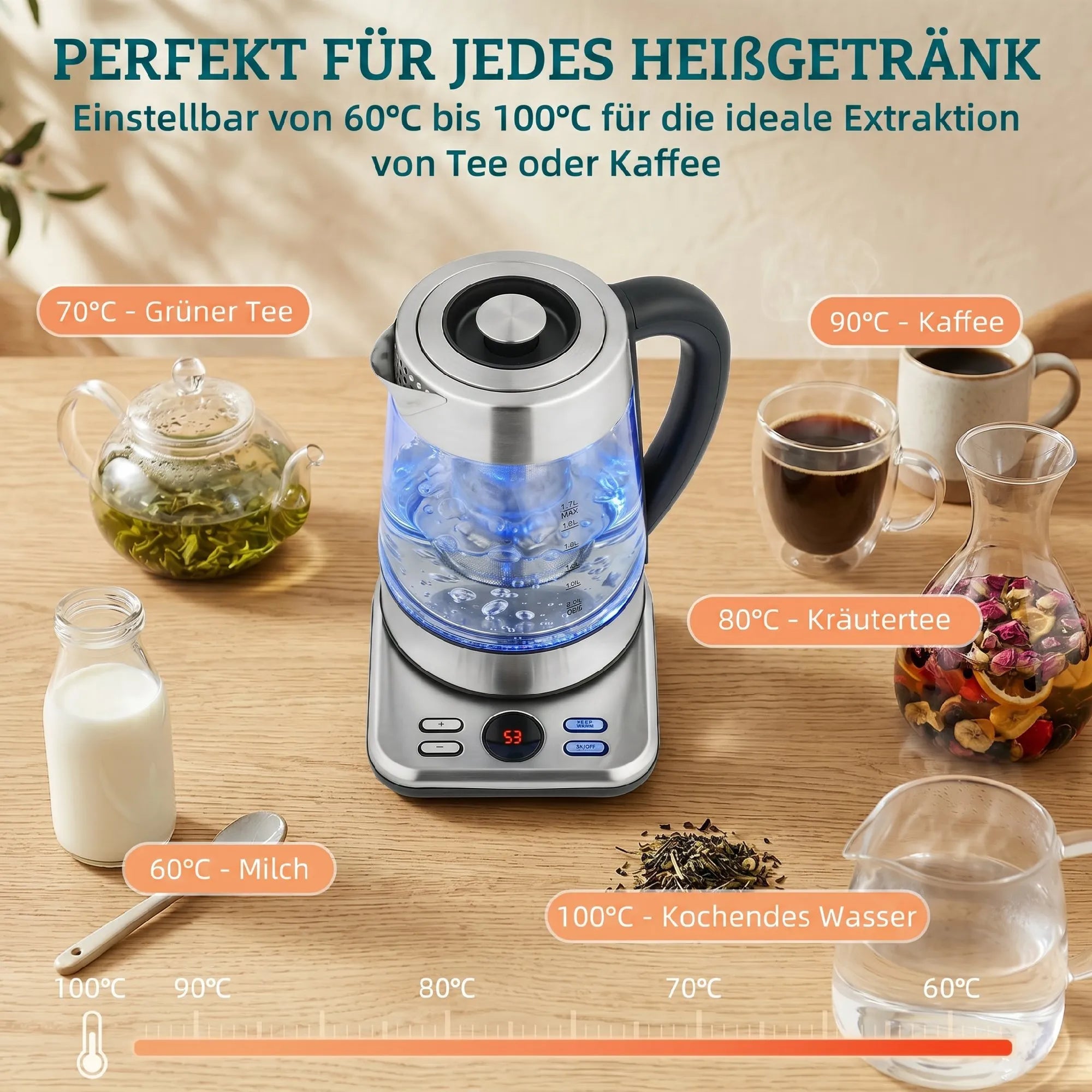 Elektrinis virdulys su temperatūros reguliavimu, 1,7 l, sidabrinis
