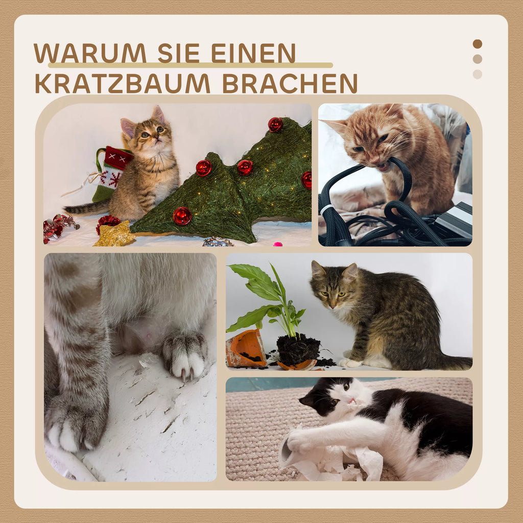 Bokšto informacinė grafika apie naudą katėms