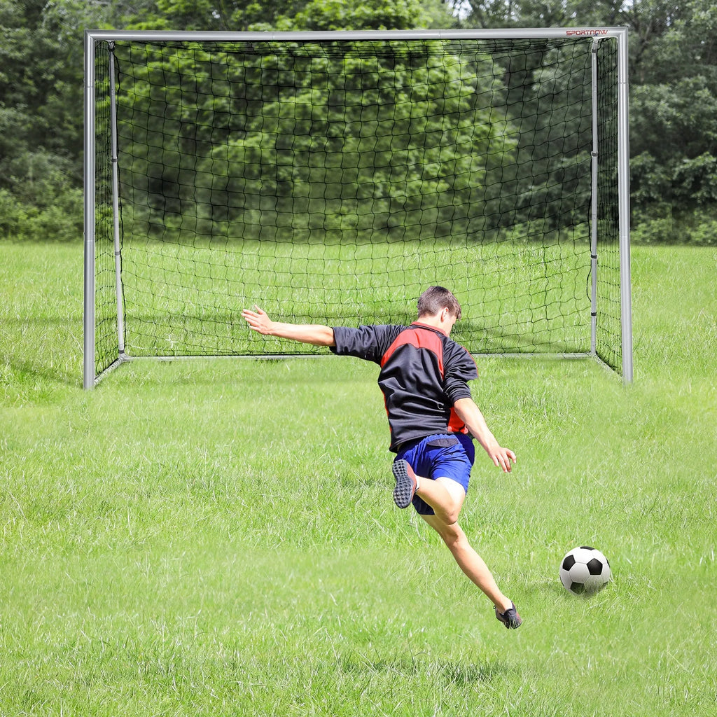 Futbolo vartai 300 x 120 x 200 cm, pilki