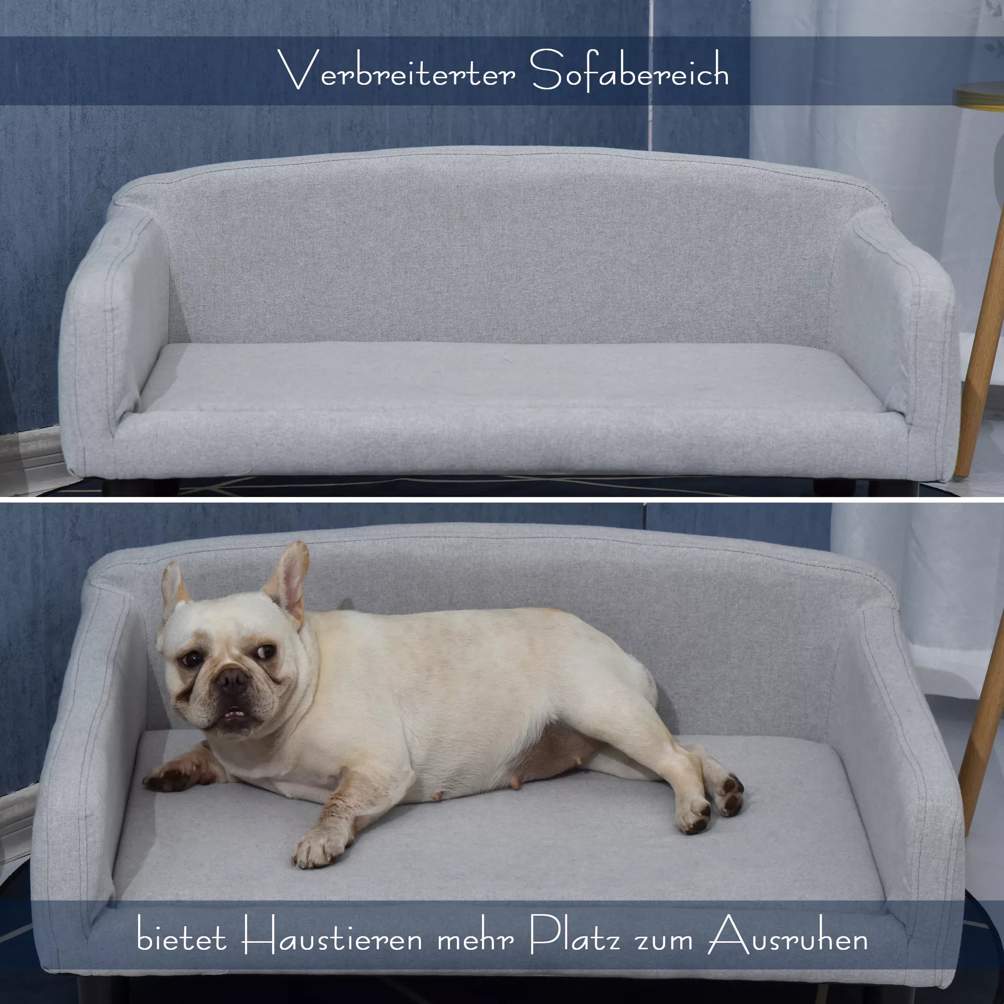 Šviesiai pilka šunų sofa su šunimi ir plėtimo žyma