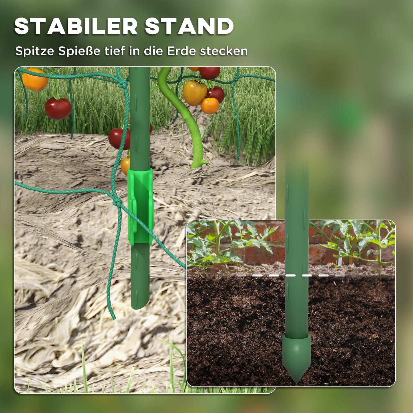 Didelis lankas, paukščių apsaugos tinklas, lengvas montavimas, metalas, 144 x 167 x 206 cm