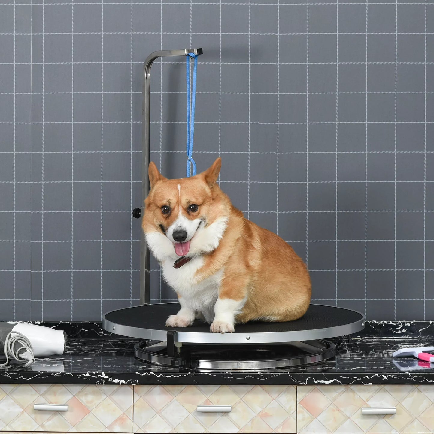 Sukamas šunų kirpimo stalas Šunų priežiūros stalas su aukščio reguliuojamu pakaruokliu Kilpa Neslystantis paviršius Naminių gyvūnų priežiūros stalas namų voniai Plaukų džiovintuvas iki 40 kg Ø65 x 72H cm Juodas