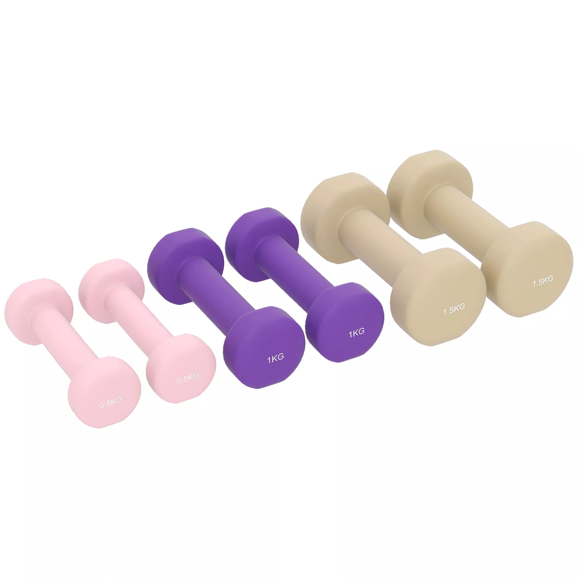 Hantelių rinkinys 6 vnt. su dėklu, 0,5–1,5 kg, rožinė/violetinė/ruda