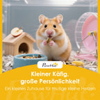 Hamsteris ėda sėklas šalia pašarų dubenėlio ir medinio namelio