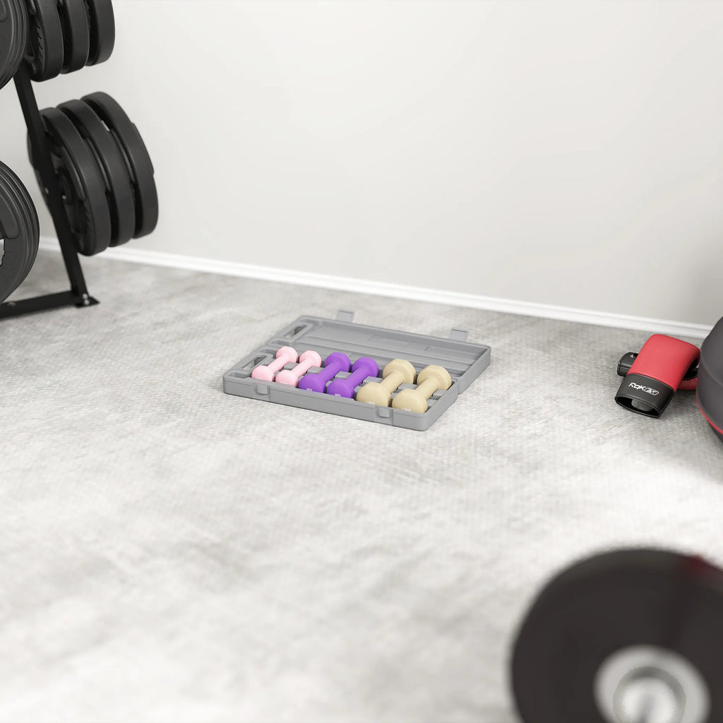 Hantelių rinkinys 6 vnt. su dėklu, 0,5–1,5 kg, rožinė/violetinė/ruda