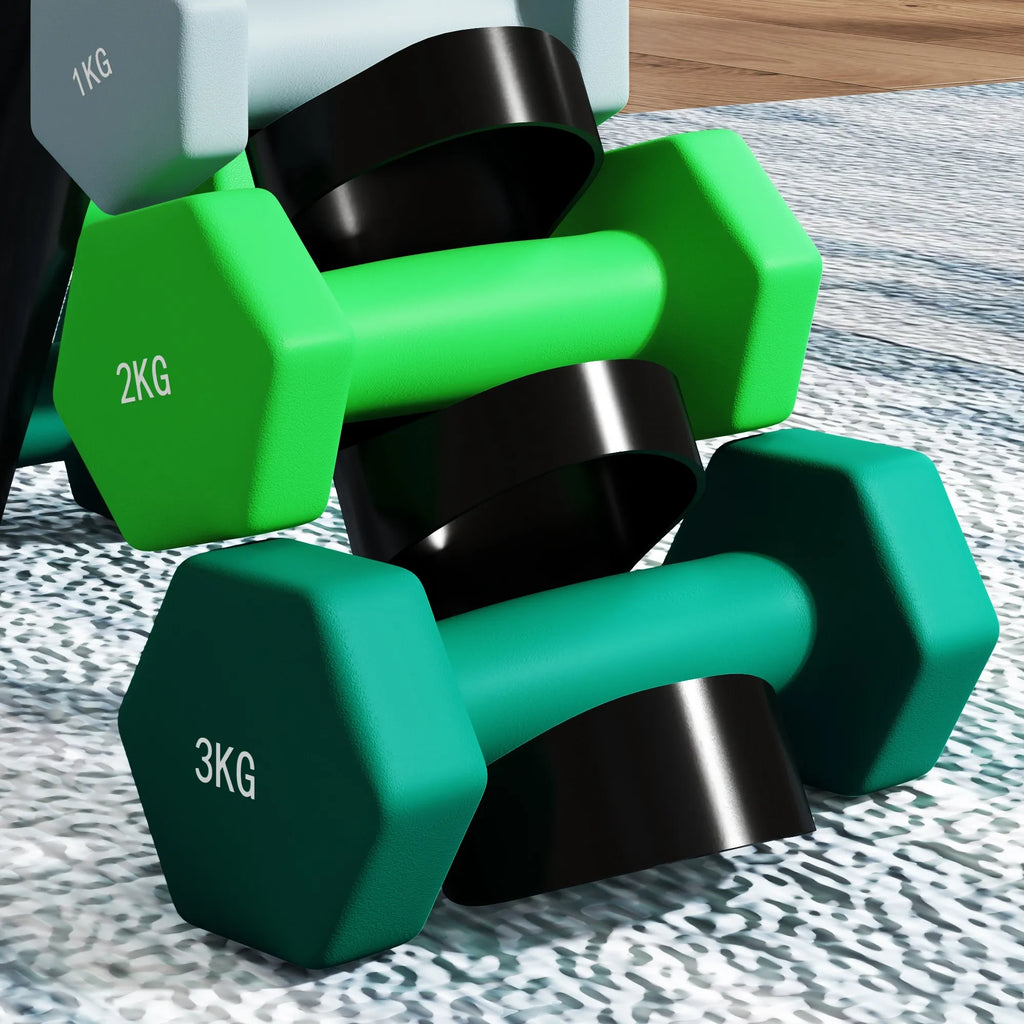 Hantelių rinkinys su stovu 6 vnt. metalo plastiko 1-3 kg