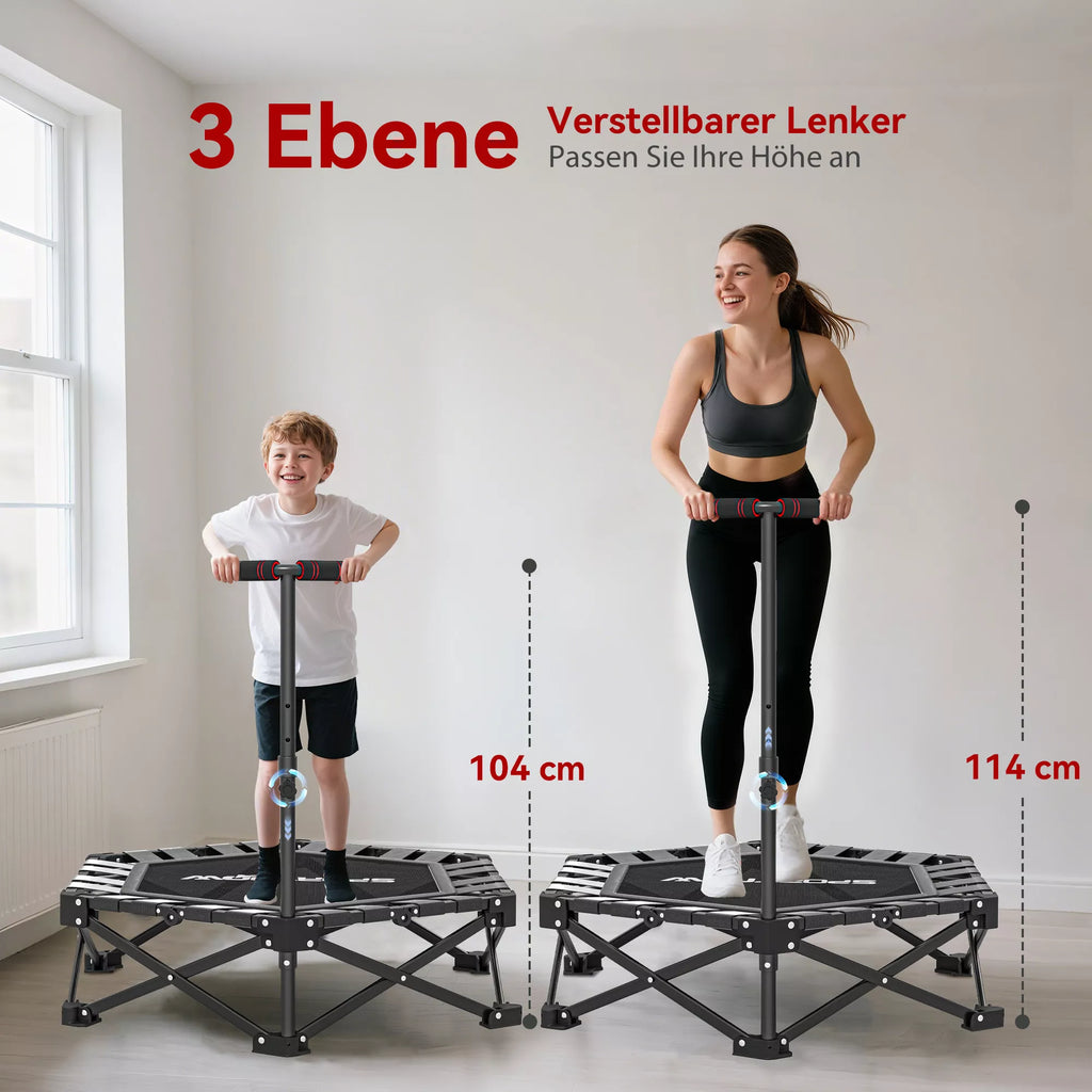 Fitneso batutas su reguliuojama T formos rankena, sulankstomas, su nešiojimo krepšiu, 120 kg apkrova, plienas, plastikas, juodas