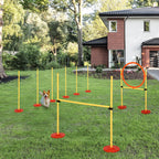 Šuo bėga per šunų agility kliūtis sode