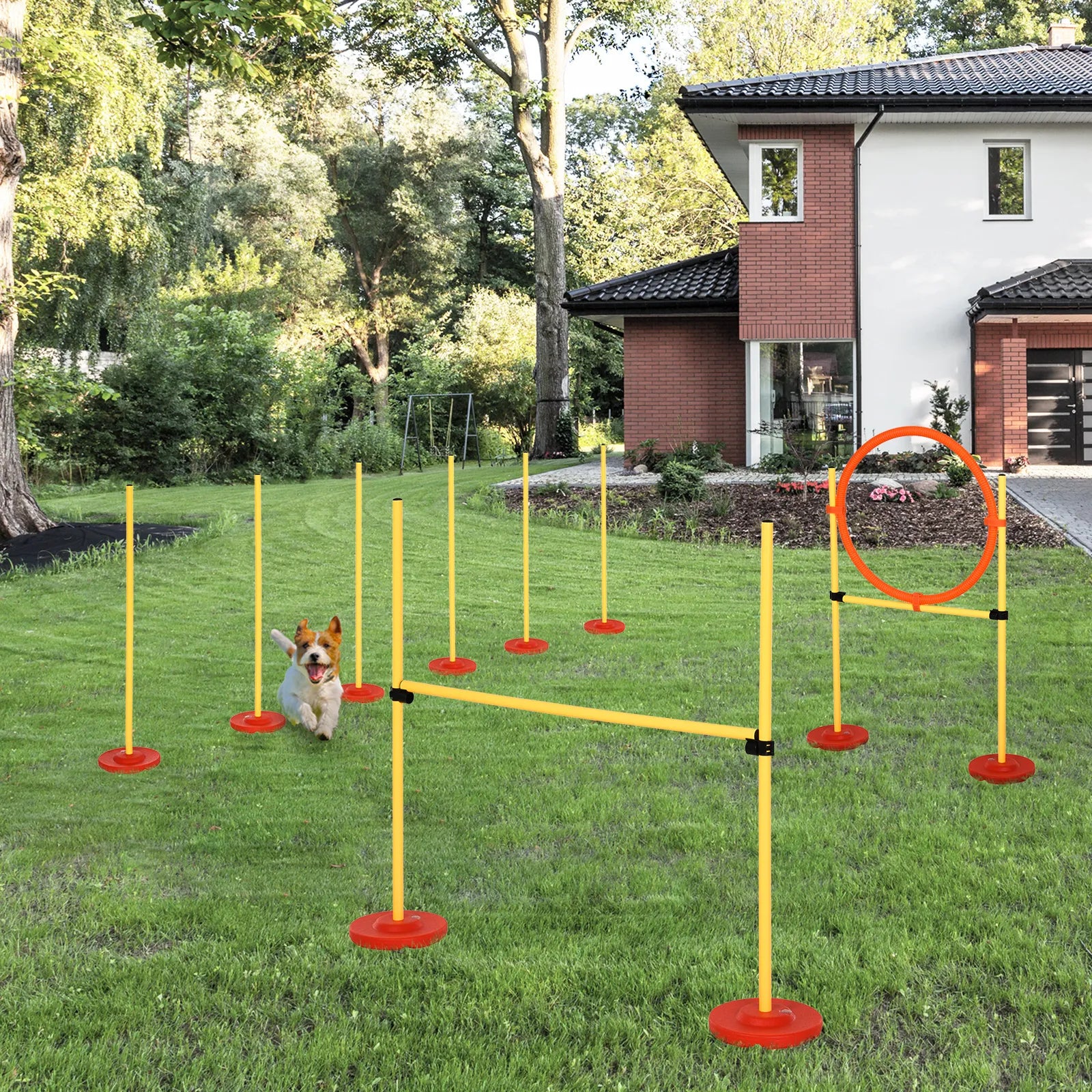 Šunų dresūros ir agility rinkinys, 6 slalomo lazdos, lankas ir kliūtys su krepšiu
