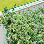 Plieninis karkasas, skirtas įsmeigti, nerūdijantis, pagalba vijoklinėms augalams, grotelės 223 x 223 x 223 cm, rožių arkos, žalios